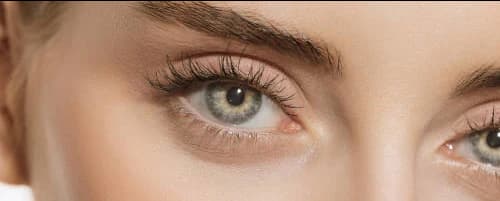 Lash Couture Collection icon